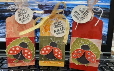Hello Ladybug 3D Hand sanitizer Holder
