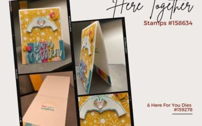 Here together bundle