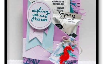More Alternate Projects from Sending Good Thoughts July 2022 Paper Pumpkin by Stampin’ Up!