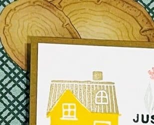 Do you have a favorite card making technique?  Let me show you mine inside the Tech 4 Stampers Blog Hop