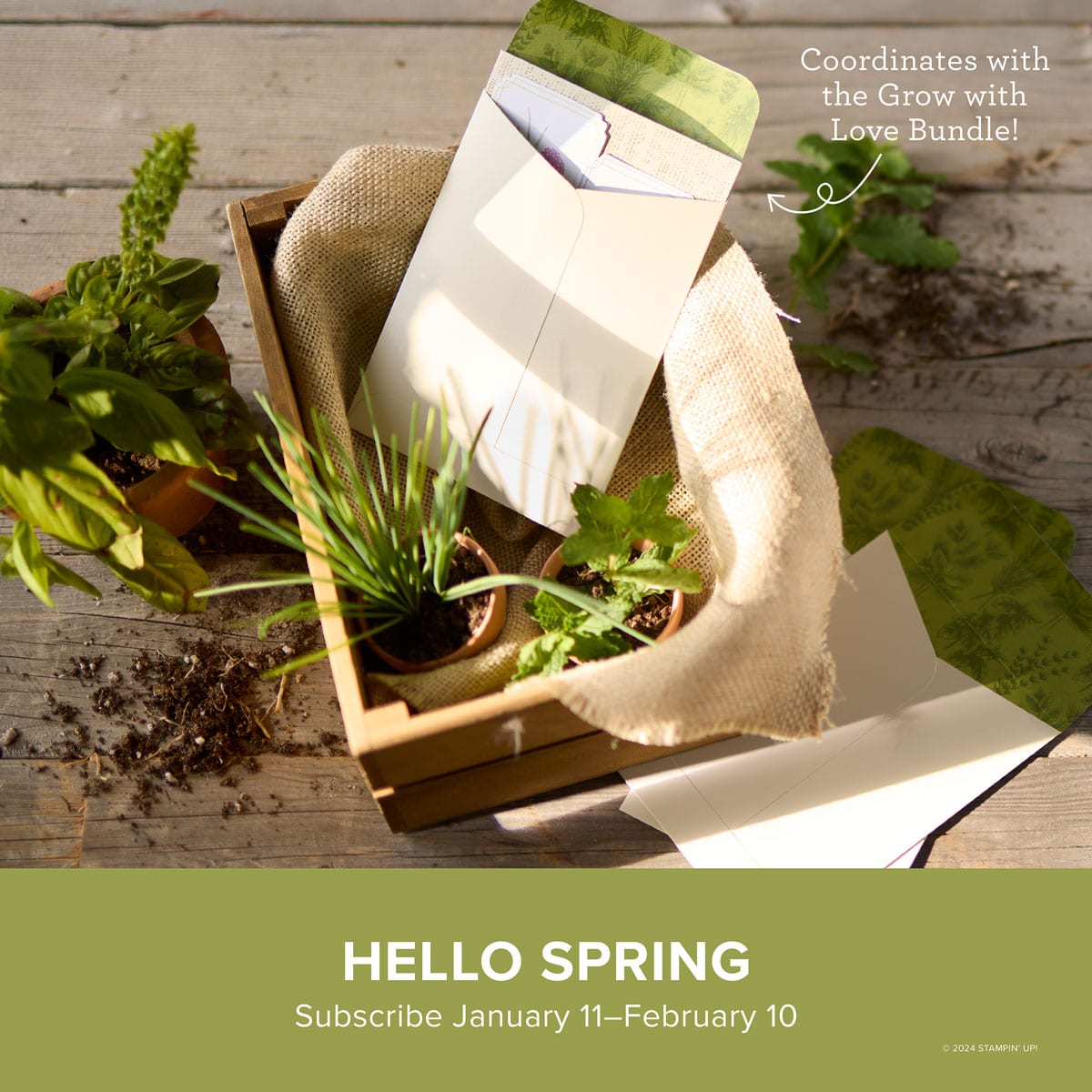 Hello Spring Refill Kit Paper Pumpkin February 2025 from Stampin' Up!