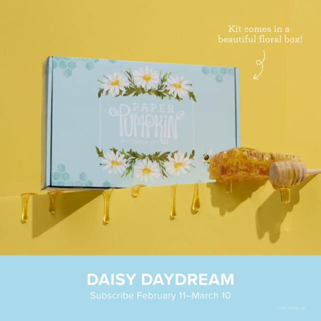 Daisy Daydream Refill Kit Paper Pumpkin March 2025 from Stampin' Up!